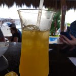 pvallarta3